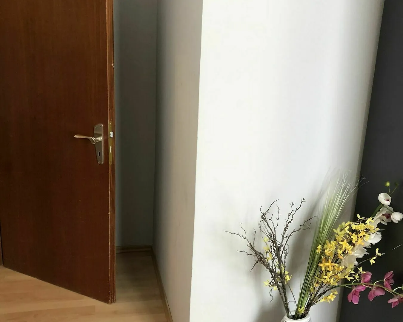 Ferienwohnung Bankwitz Cologne Germany